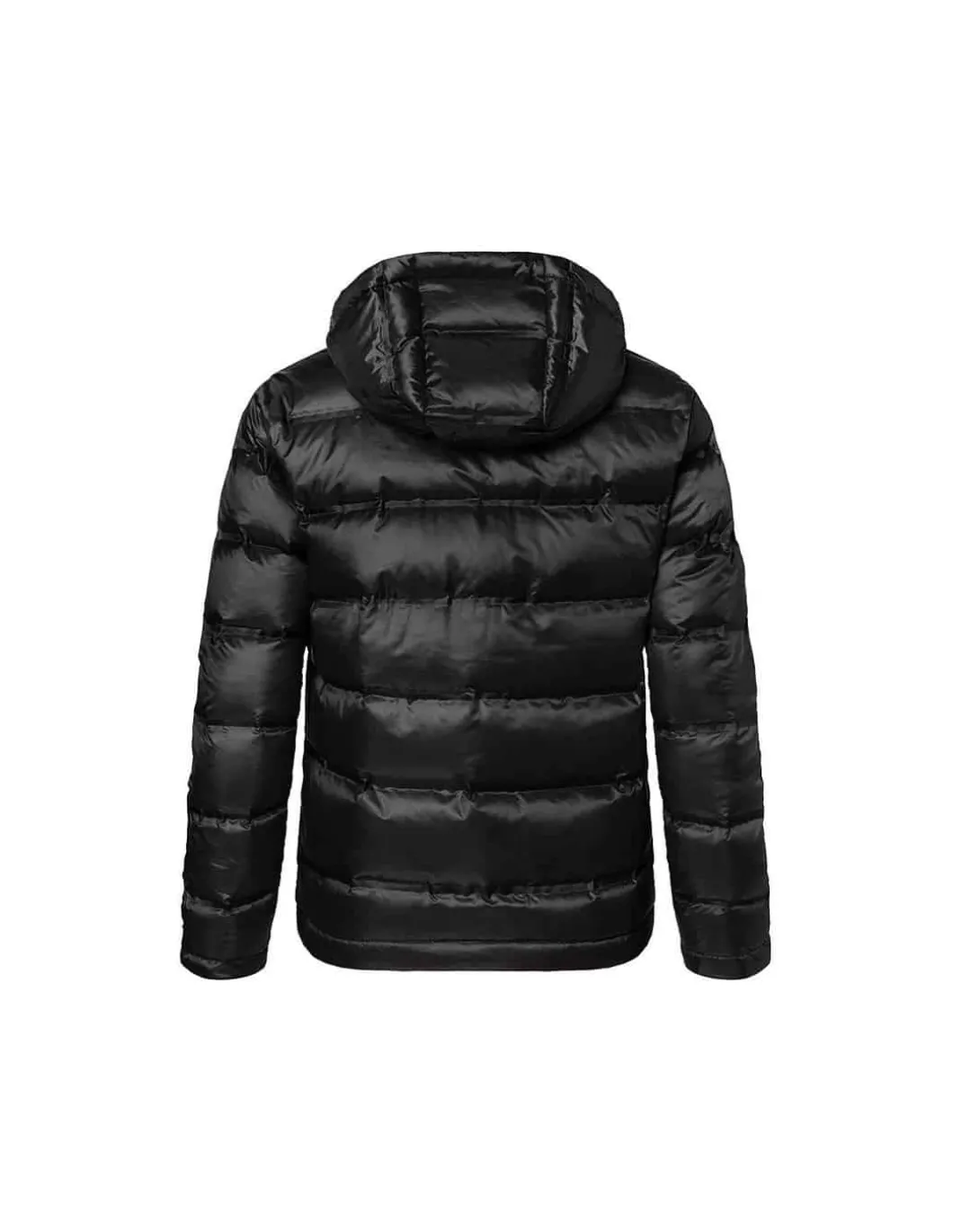 Doudoune Homme à Capuche Duvet James & Nicholson