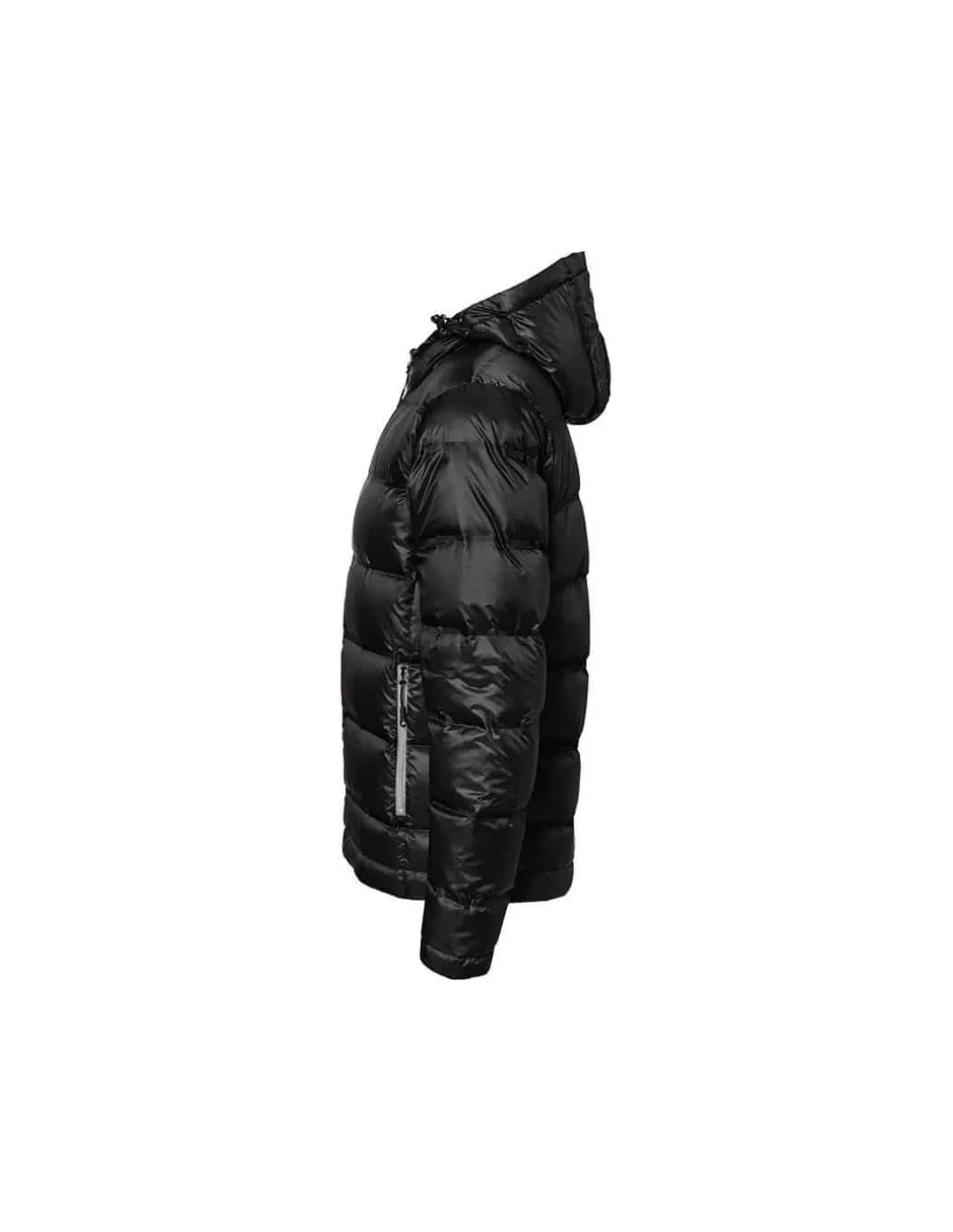 Doudoune Homme à Capuche Duvet James & Nicholson