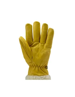 Gants Cuir Doublé Eurowinter Islande Coverguard